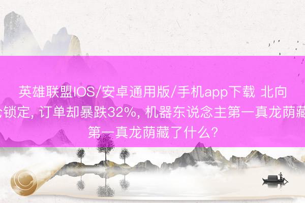 英雄联盟IOS/安卓通用版/手机app下载 北向资金重仓锁定, 订单却暴跌32%, 机器东说念主第一真龙荫藏了什么?