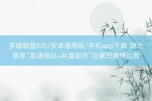 英雄联盟IOS/安卓通用版/手机app下载 湖北首家“高速驿站+共富超市”在襄阳揭牌运营